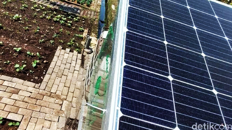 Lebih Irit, Urban Farming di Bandung Pakai Solar Cell